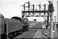 SU6352 : Pneumatic signal gantry at east end of Basingstoke station, 1963 by Ben Brooksbank