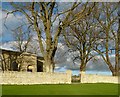 SK9913 : Churchyard wall and trees, Pickworth by Alan Murray-Rust