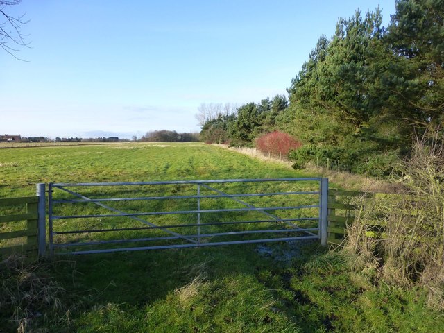 Gateway to pasture