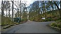 SD9829 : Hardcastle Crags walkway by Steven Haslington