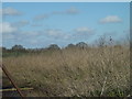 TM1083 : Farmland at Shelfanger Hall by Geographer