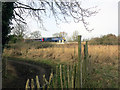 SU5066 : Reed Beds and Railway by Des Blenkinsopp