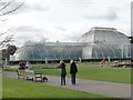 TQ1876 : A fox near the Palm House, Kew Gardens by Christine Johnstone