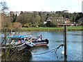 TQ1773 : Grey heron on top of a mooring post, Richmond by Christine Johnstone