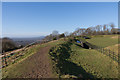 TQ2552 : Reigate Fort by Ian Capper