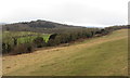 TQ0349 : View west, along Albury Downs by Gareth James