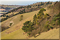 TQ2452 : Colley Hill by Ian Capper