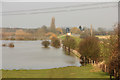 SK8380 : Trent floodbank by Richard Croft