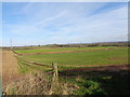  : Pylons across a field, near Hampton Farm by Jeff Gogarty