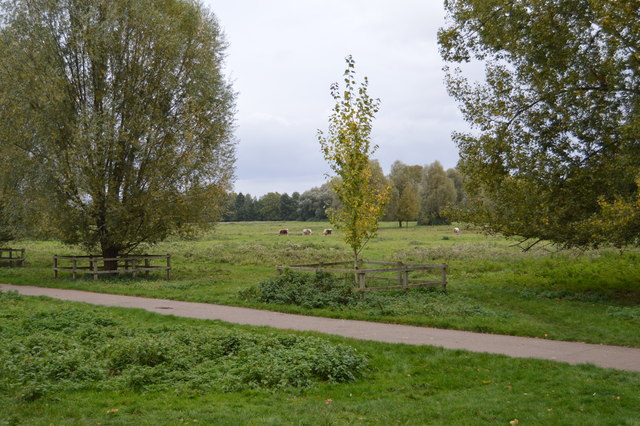 Stourbridge Common