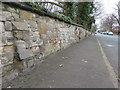 SJ3385 : Stone wall alongside Highfield South by John S Turner