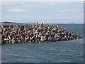 NT7475 : Breakwater at Skateraw Harbour by Oliver Dixon