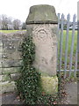 SJ3385 : Weathered gatepost in Highfield South by John S Turner