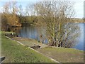 SE4327 : Fishing platforms, Newton Lane Pond, Allerton Bywater by Rich Tea