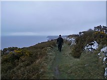  : The Wales Coast Path near Cwmtydu by Anthony Parkes