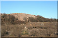 SS8280 : Spoil heap and small quarry face near South Cornelly by eswales