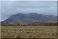 NC2939 : Arkle viewed from Achfary, Sutherland by Andrew Tryon