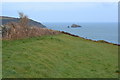 SX8748 : Southwest Coast Path with Mew Stone in the distance by David Martin