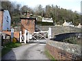 SO8802 : Brimscombe St Mary's level crossing, from the south by Christine Johnstone