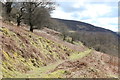 SO1807 : Former dramroad, Silent Valley Local Nature Reserve by M J Roscoe