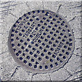 O2717 : Manhole cover, Bray by Rossographer