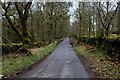 SD4896 : Ashes Lane in the Woods on Rather Heath by Chris Heaton