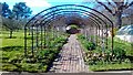 TQ6723 : Trellis tunnel in the gardens of Bateman's by PAUL FARMER