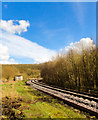 SE8286 : NYMR Idyllic Journeys by Scott Robinson