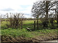 TM1353 : Footpath to Bull's Road & Rectory Road by Geographer