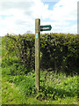 TM1256 : Footpath sign off The Green by Geographer