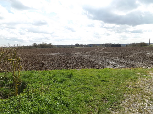 Farmland off Buck's Head Lane