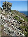 SX7036 : Rock outcrop above Steeple Cove by Philip Halling