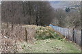 SO1806 : Silent Valley Local Nature Reserve near ruins of sheepfold by M J Roscoe