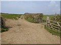 SS2007 : Gateways at a corner of fields near Maer by David Smith