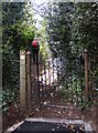 SO8483 : Kinver Footpath by Gordon Griffiths