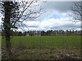 SE3253 : View towards Quarry Wood by Steve  Fareham