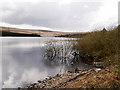 SE0119 : Baitings Reservoir, North Shore by David Dixon