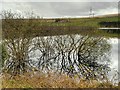 SE0119 : Reflections in Baitings Reservoir by David Dixon