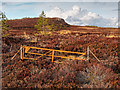 NH7843 : Old Gate by valenta