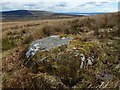 NS3085 : Boulder beside footpath by Lairich Rig