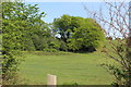 ST1897 : Woodland & pasture behind Penmaen Chapel by M J Roscoe