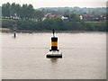 SJ3585 : Mersey Estuary, Bromborough Cardinal Marker Buoy by David Dixon