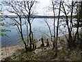 NN0925 : Beach, Loch Awe by Richard Webb