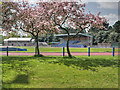 SJ8094 : Longford Park Athletics Stadium by David Dixon