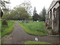 TM0753 : St.Mary's Churchyard by Geographer