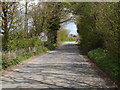 TM3786 : Entering Ilketshall St Andrew on Top Road by Geographer