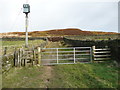 SE0029 : Stile and gate on the Calderdale Way, Wadsworth by Humphrey Bolton