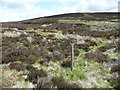 SD9735 : Grouse shooters' waymark pole near Burnt Hill, Wadsworth by Humphrey Bolton