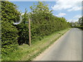 TM1653 : Footpath to the B1078 Lower Road & Clay Lane by Geographer