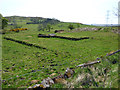 NS3270 : Mathernock Battery accommodation camp by Thomas Nugent